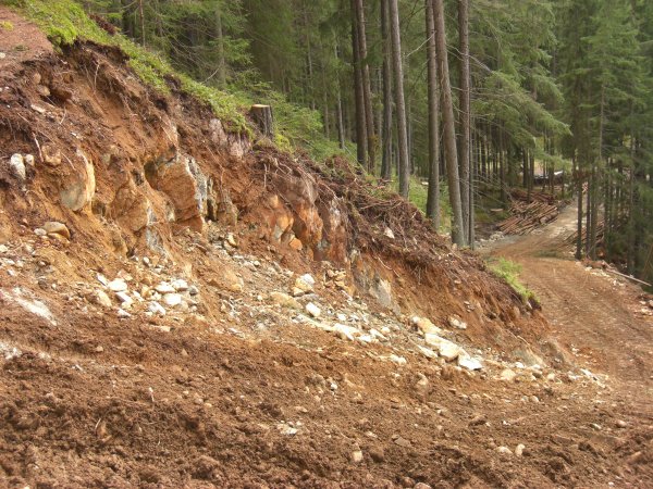 Arbeiten für die Druckrohrtrasse